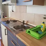 Maslina * Zára