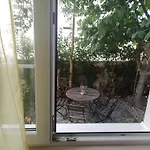 Maslina * Zára