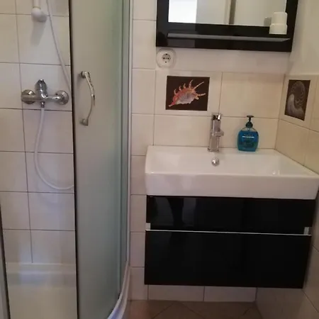 Apartment Maslina *