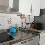 Maslina * Zadar