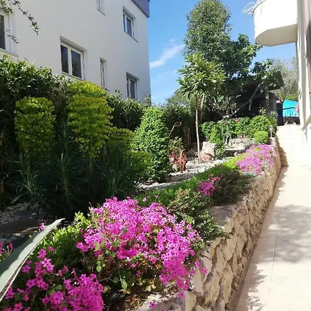 Appartamento Maslina Zara