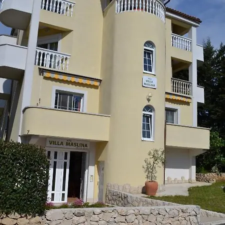 Maslina * Zadar