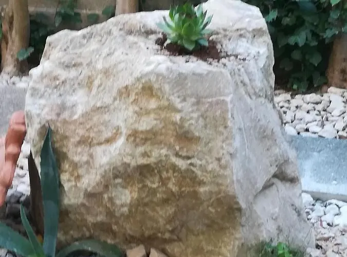 Maslina * זאדאר