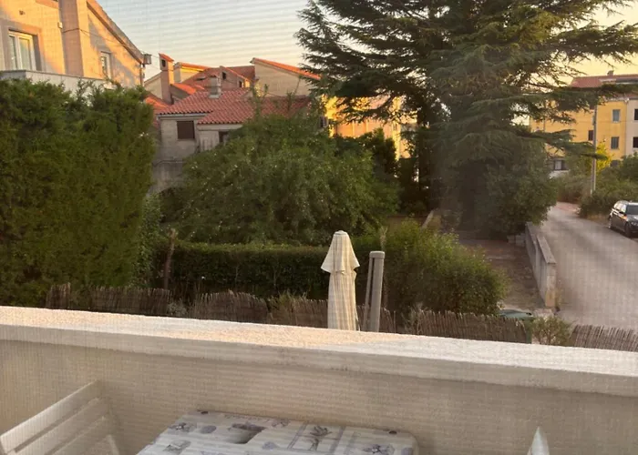 Maslina Ζαντάρ