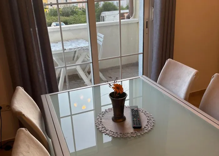 Maslina * Ζαντάρ